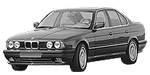 BMW E34 P1011 Fault Code