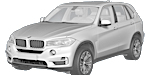 BMW F15 P1011 Fault Code